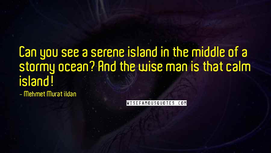 Mehmet Murat Ildan Quotes: Can you see a serene island in the middle of a stormy ocean? And the wise man is that calm island!