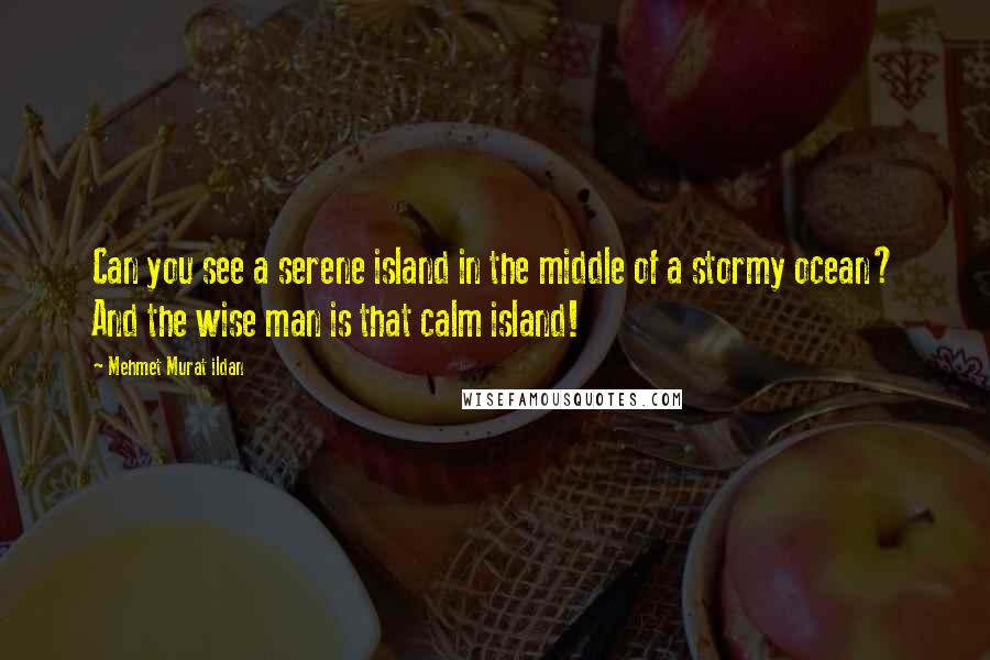 Mehmet Murat Ildan Quotes: Can you see a serene island in the middle of a stormy ocean? And the wise man is that calm island!