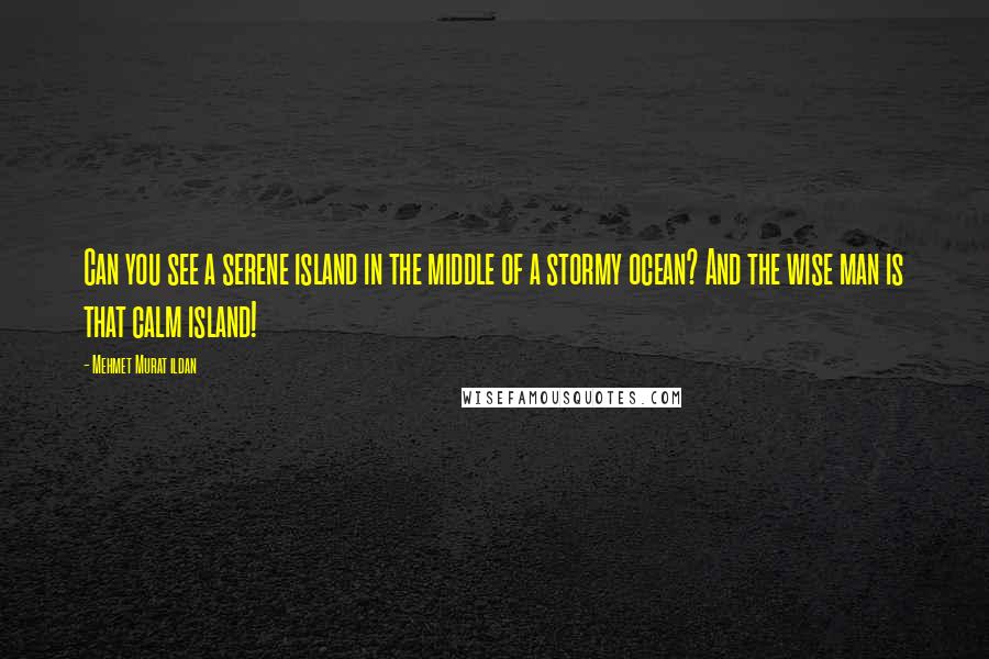 Mehmet Murat Ildan Quotes: Can you see a serene island in the middle of a stormy ocean? And the wise man is that calm island!