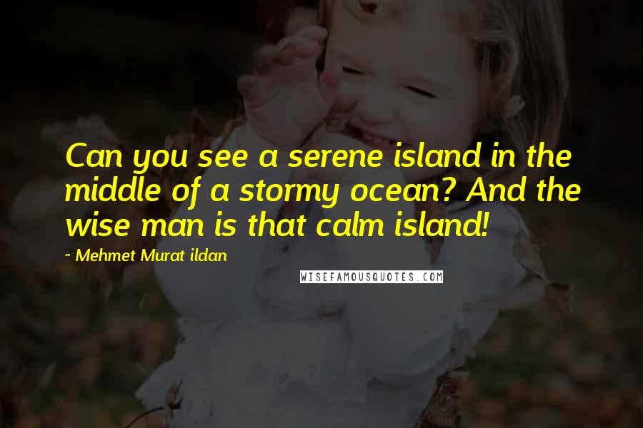 Mehmet Murat Ildan Quotes: Can you see a serene island in the middle of a stormy ocean? And the wise man is that calm island!