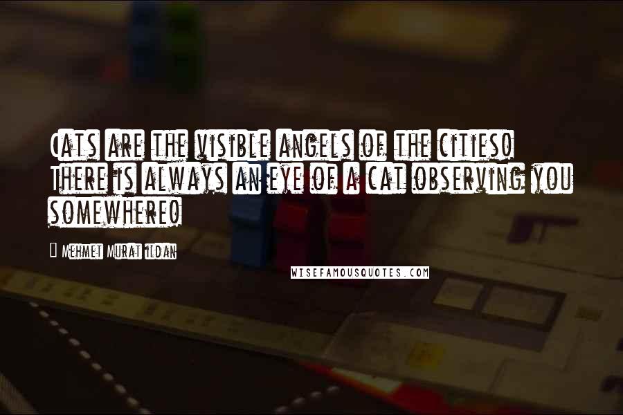 Mehmet Murat Ildan Quotes: Cats are the visible angels of the cities! There is always an eye of a cat observing you somewhere!