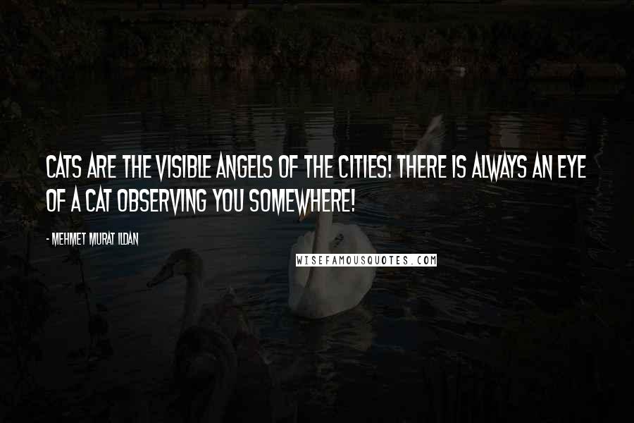 Mehmet Murat Ildan Quotes: Cats are the visible angels of the cities! There is always an eye of a cat observing you somewhere!