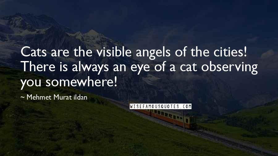 Mehmet Murat Ildan Quotes: Cats are the visible angels of the cities! There is always an eye of a cat observing you somewhere!