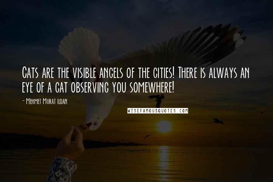 Mehmet Murat Ildan Quotes: Cats are the visible angels of the cities! There is always an eye of a cat observing you somewhere!