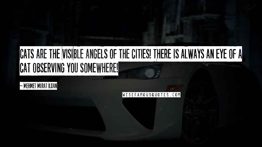 Mehmet Murat Ildan Quotes: Cats are the visible angels of the cities! There is always an eye of a cat observing you somewhere!