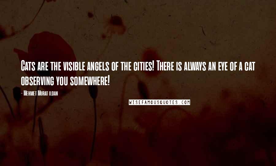 Mehmet Murat Ildan Quotes: Cats are the visible angels of the cities! There is always an eye of a cat observing you somewhere!