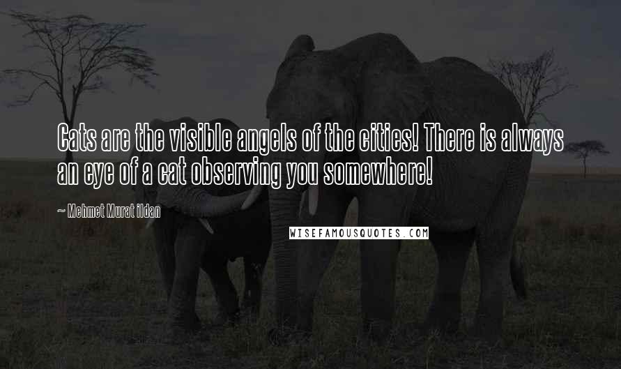 Mehmet Murat Ildan Quotes: Cats are the visible angels of the cities! There is always an eye of a cat observing you somewhere!