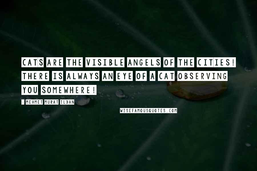 Mehmet Murat Ildan Quotes: Cats are the visible angels of the cities! There is always an eye of a cat observing you somewhere!