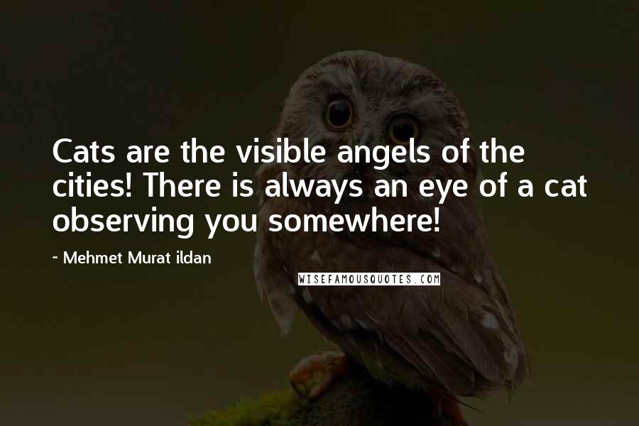 Mehmet Murat Ildan Quotes: Cats are the visible angels of the cities! There is always an eye of a cat observing you somewhere!