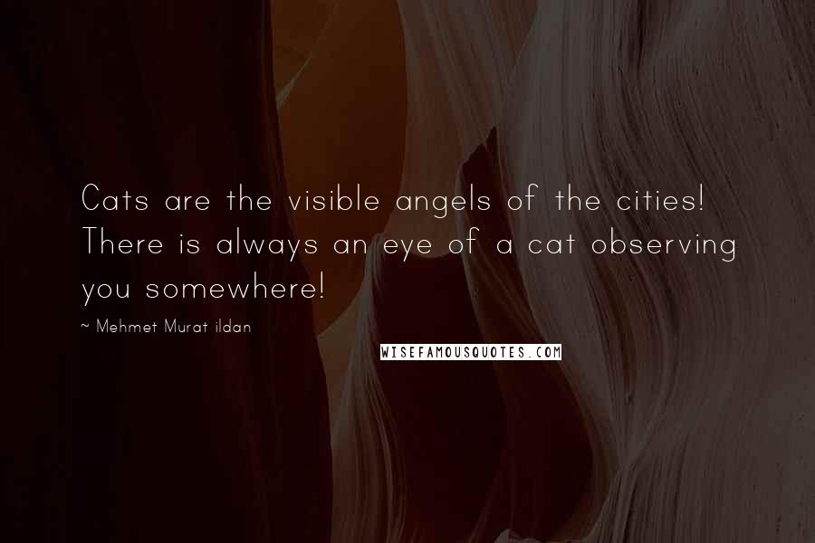 Mehmet Murat Ildan Quotes: Cats are the visible angels of the cities! There is always an eye of a cat observing you somewhere!