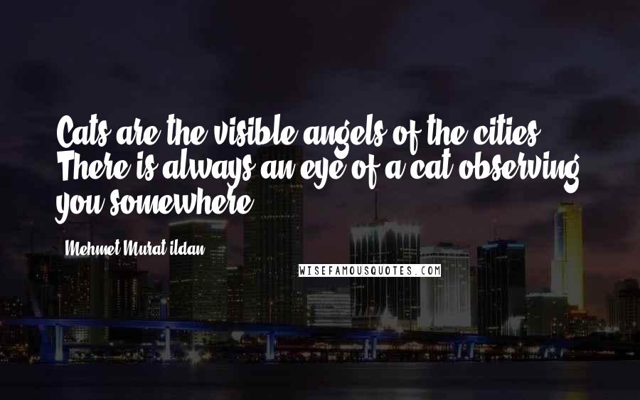 Mehmet Murat Ildan Quotes: Cats are the visible angels of the cities! There is always an eye of a cat observing you somewhere!