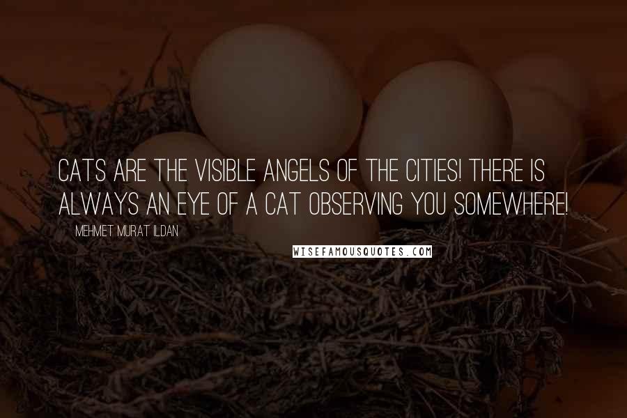 Mehmet Murat Ildan Quotes: Cats are the visible angels of the cities! There is always an eye of a cat observing you somewhere!