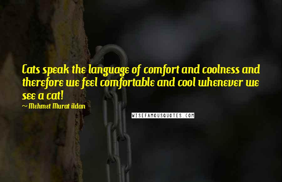 Mehmet Murat Ildan Quotes: Cats speak the language of comfort and coolness and therefore we feel comfortable and cool whenever we see a cat!