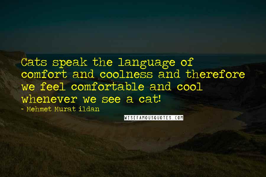 Mehmet Murat Ildan Quotes: Cats speak the language of comfort and coolness and therefore we feel comfortable and cool whenever we see a cat!