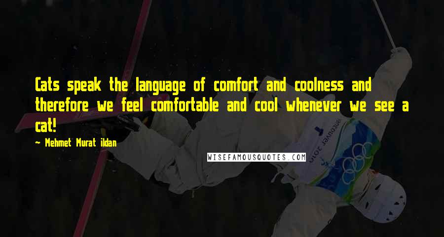 Mehmet Murat Ildan Quotes: Cats speak the language of comfort and coolness and therefore we feel comfortable and cool whenever we see a cat!