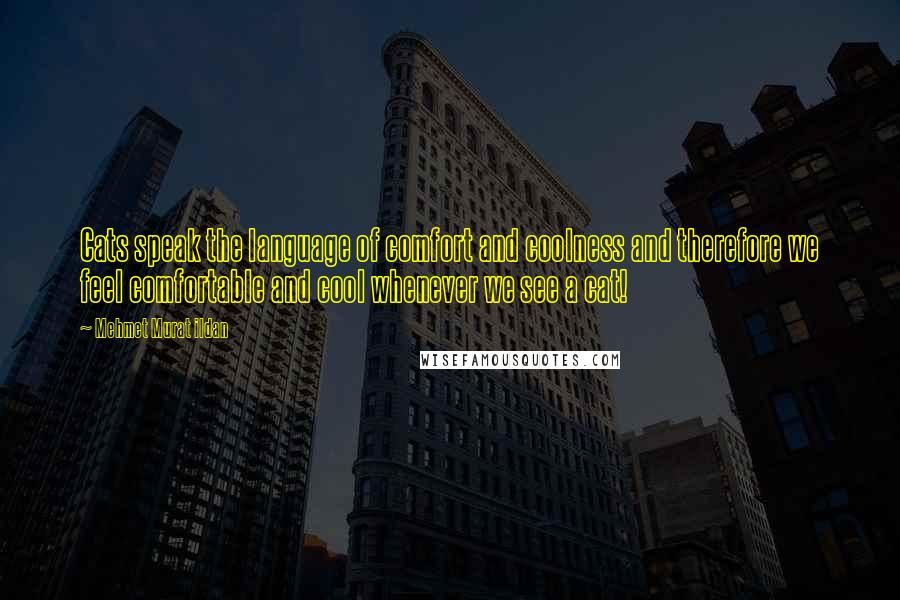 Mehmet Murat Ildan Quotes: Cats speak the language of comfort and coolness and therefore we feel comfortable and cool whenever we see a cat!