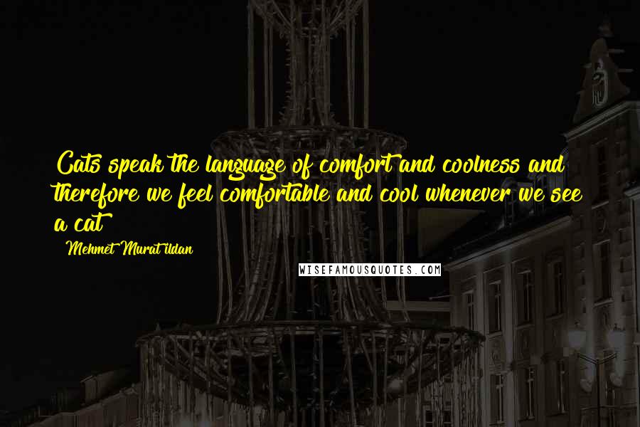 Mehmet Murat Ildan Quotes: Cats speak the language of comfort and coolness and therefore we feel comfortable and cool whenever we see a cat!