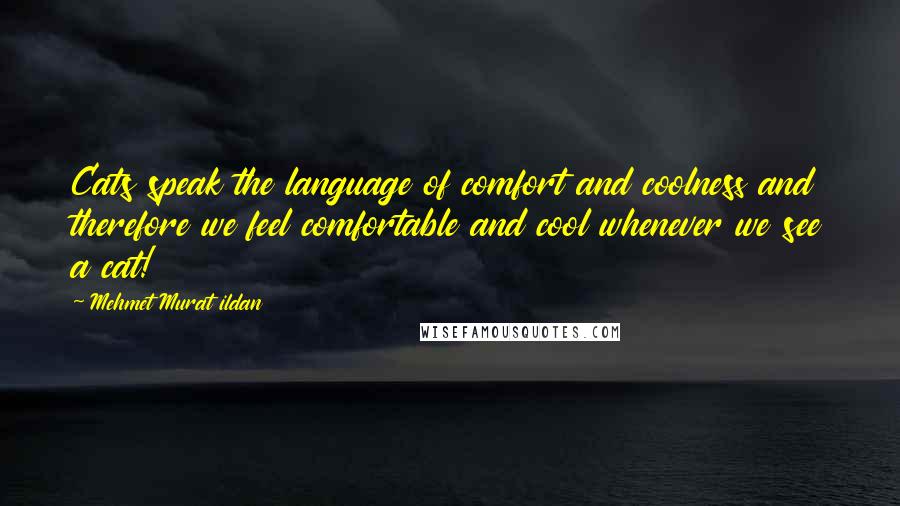 Mehmet Murat Ildan Quotes: Cats speak the language of comfort and coolness and therefore we feel comfortable and cool whenever we see a cat!