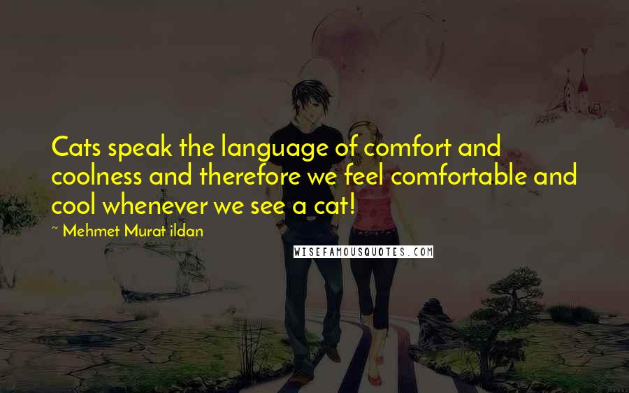 Mehmet Murat Ildan Quotes: Cats speak the language of comfort and coolness and therefore we feel comfortable and cool whenever we see a cat!