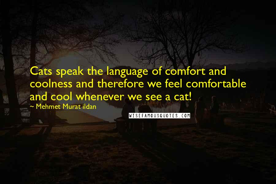 Mehmet Murat Ildan Quotes: Cats speak the language of comfort and coolness and therefore we feel comfortable and cool whenever we see a cat!