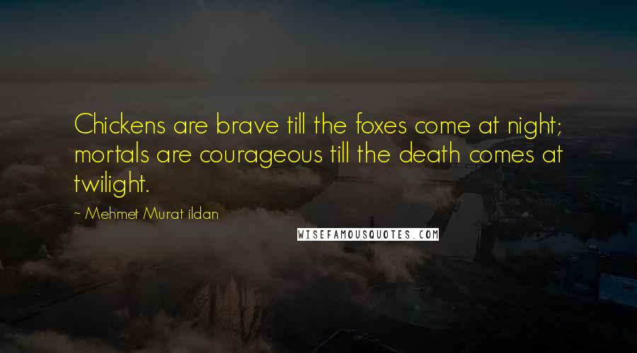 Mehmet Murat Ildan Quotes: Chickens are brave till the foxes come at night; mortals are courageous till the death comes at twilight.