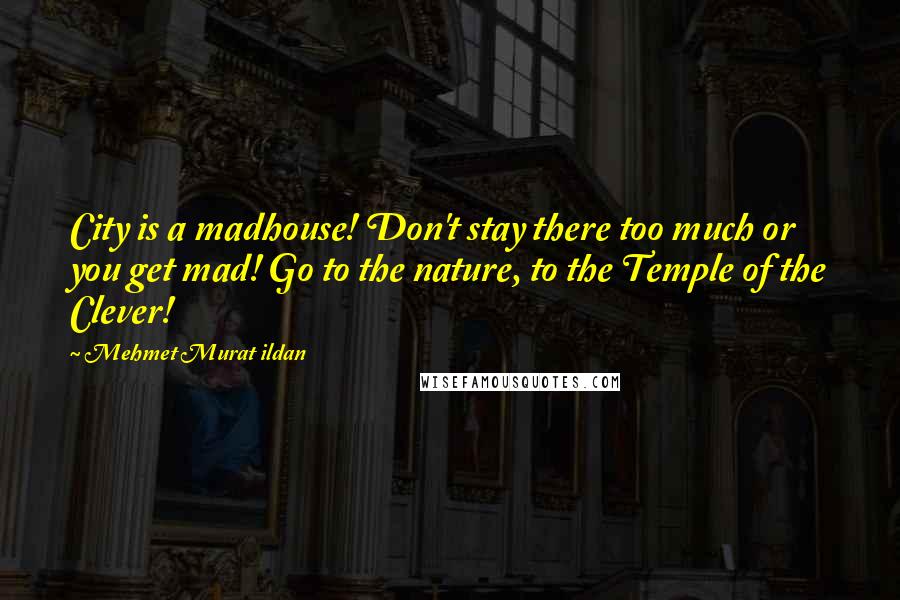 Mehmet Murat Ildan Quotes: City is a madhouse! Don't stay there too much or you get mad! Go to the nature, to the Temple of the Clever!