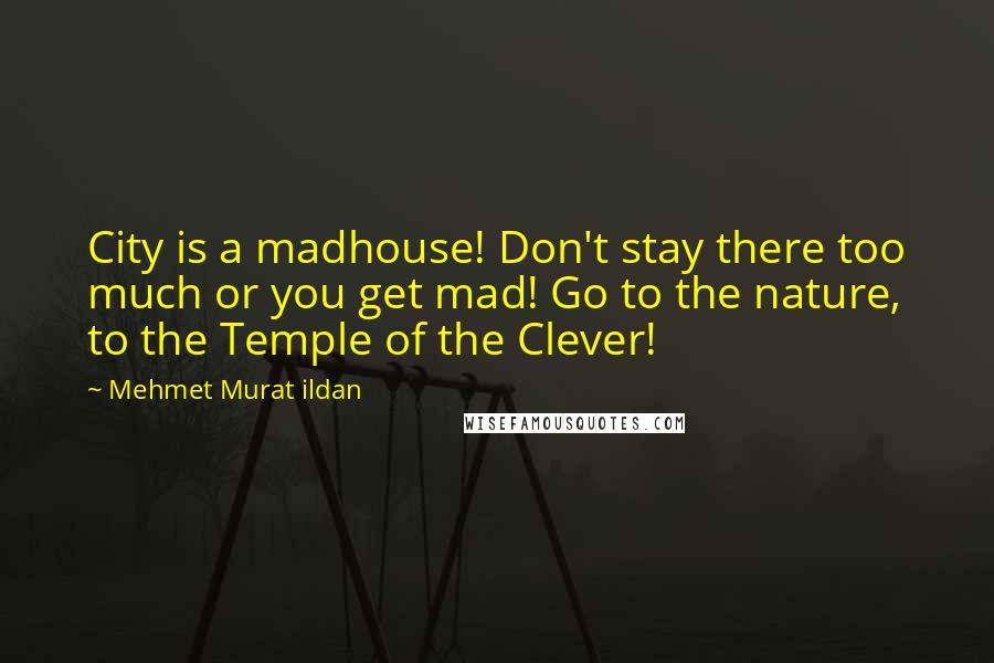 Mehmet Murat Ildan Quotes: City is a madhouse! Don't stay there too much or you get mad! Go to the nature, to the Temple of the Clever!