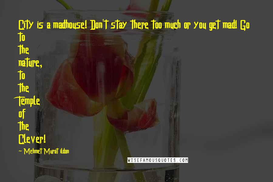 Mehmet Murat Ildan Quotes: City is a madhouse! Don't stay there too much or you get mad! Go to the nature, to the Temple of the Clever!