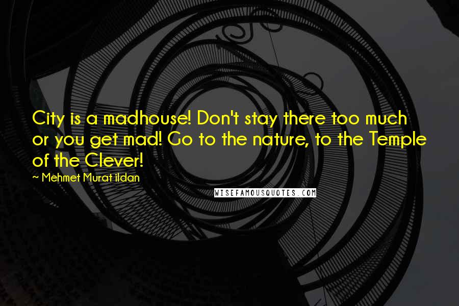 Mehmet Murat Ildan Quotes: City is a madhouse! Don't stay there too much or you get mad! Go to the nature, to the Temple of the Clever!