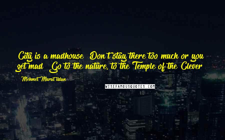 Mehmet Murat Ildan Quotes: City is a madhouse! Don't stay there too much or you get mad! Go to the nature, to the Temple of the Clever!