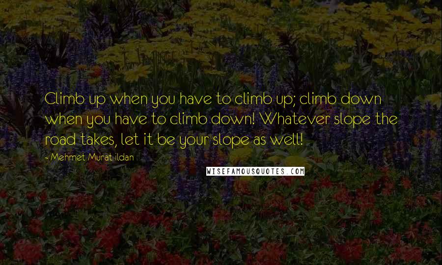 Mehmet Murat Ildan Quotes: Climb up when you have to climb up; climb down when you have to climb down! Whatever slope the road takes, let it be your slope as well!