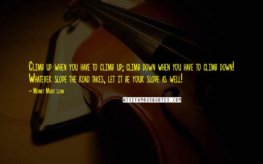 Mehmet Murat Ildan Quotes: Climb up when you have to climb up; climb down when you have to climb down! Whatever slope the road takes, let it be your slope as well!