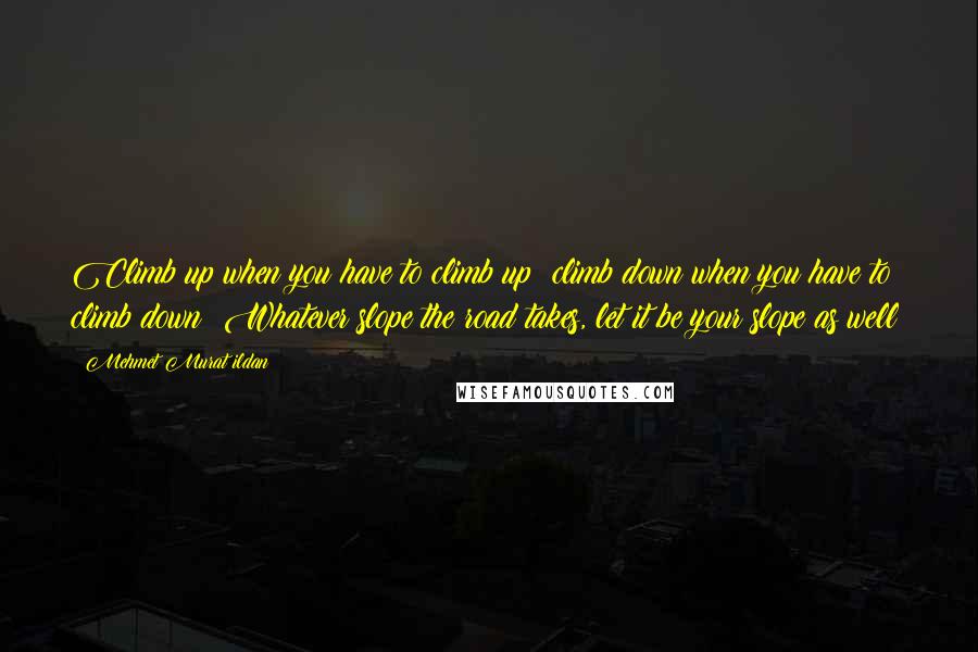 Mehmet Murat Ildan Quotes: Climb up when you have to climb up; climb down when you have to climb down! Whatever slope the road takes, let it be your slope as well!