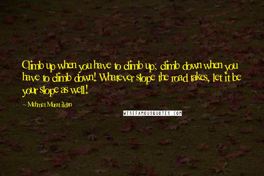 Mehmet Murat Ildan Quotes: Climb up when you have to climb up; climb down when you have to climb down! Whatever slope the road takes, let it be your slope as well!