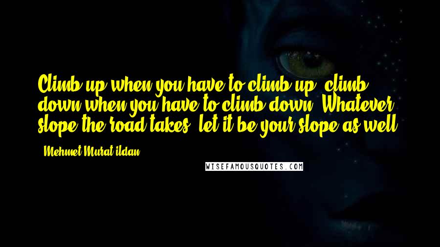 Mehmet Murat Ildan Quotes: Climb up when you have to climb up; climb down when you have to climb down! Whatever slope the road takes, let it be your slope as well!