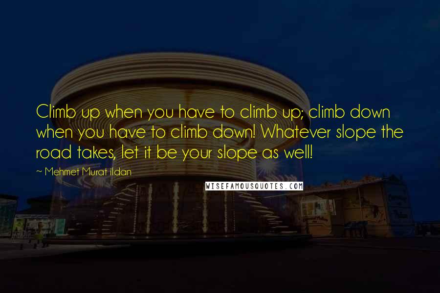 Mehmet Murat Ildan Quotes: Climb up when you have to climb up; climb down when you have to climb down! Whatever slope the road takes, let it be your slope as well!