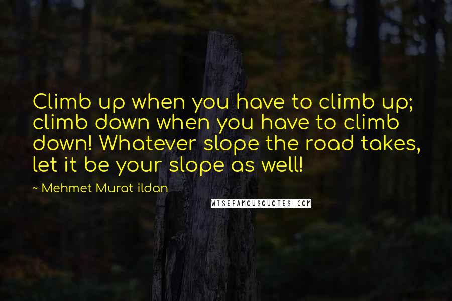 Mehmet Murat Ildan Quotes: Climb up when you have to climb up; climb down when you have to climb down! Whatever slope the road takes, let it be your slope as well!