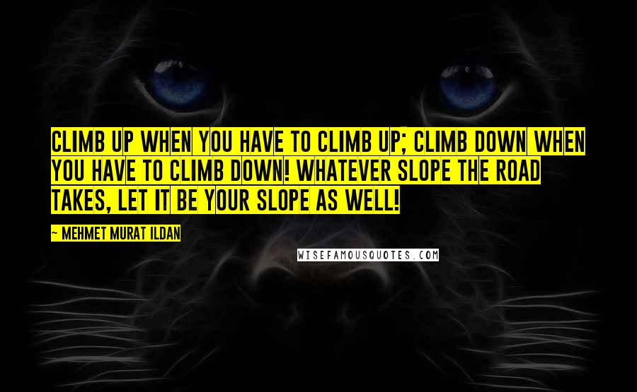 Mehmet Murat Ildan Quotes: Climb up when you have to climb up; climb down when you have to climb down! Whatever slope the road takes, let it be your slope as well!