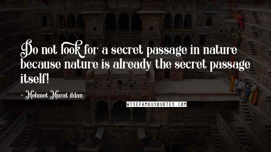 Mehmet Murat Ildan Quotes: Do not look for a secret passage in nature because nature is already the secret passage itself!