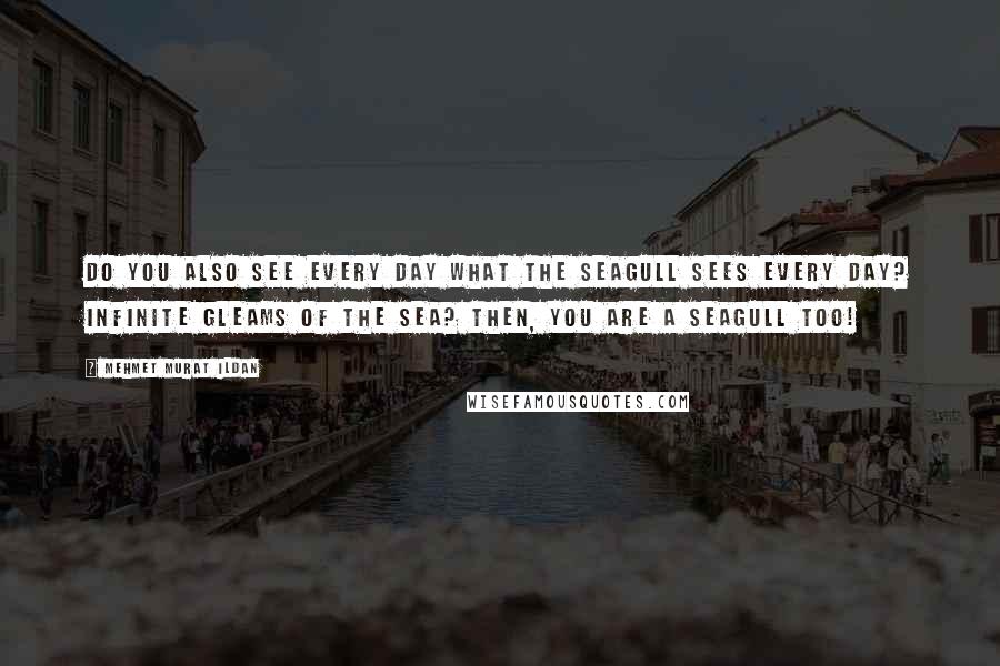 Mehmet Murat Ildan Quotes: Do you also see every day what the seagull sees every day? Infinite gleams of the sea? Then, you are a seagull too!