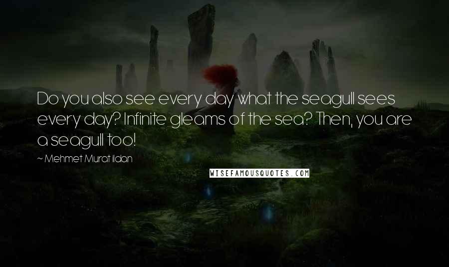 Mehmet Murat Ildan Quotes: Do you also see every day what the seagull sees every day? Infinite gleams of the sea? Then, you are a seagull too!