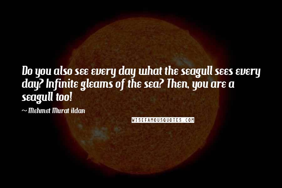 Mehmet Murat Ildan Quotes: Do you also see every day what the seagull sees every day? Infinite gleams of the sea? Then, you are a seagull too!