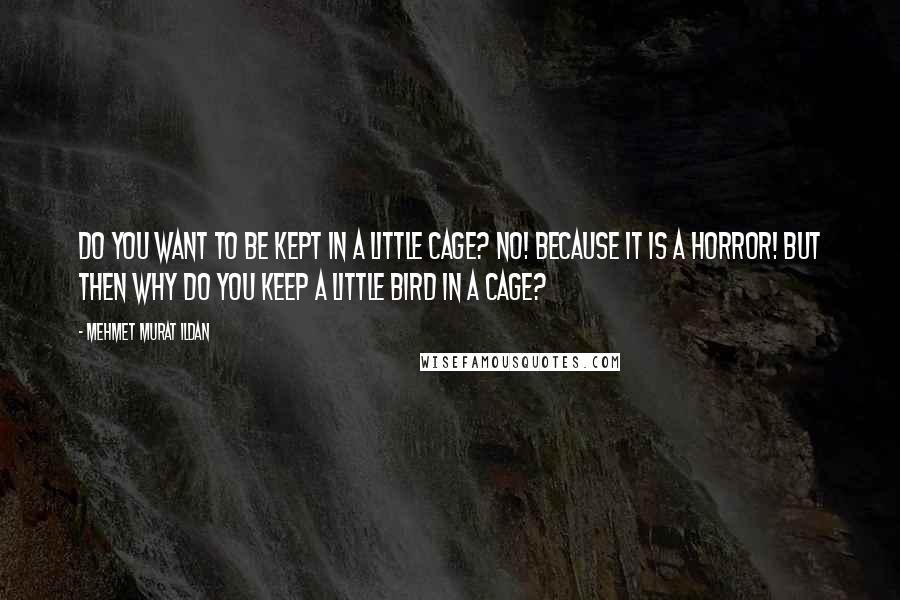 Mehmet Murat Ildan Quotes: Do you want to be kept in a little cage? No! Because it is a horror! But then why do you keep a little bird in a cage?