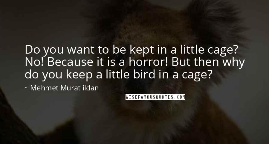 Mehmet Murat Ildan Quotes: Do you want to be kept in a little cage? No! Because it is a horror! But then why do you keep a little bird in a cage?