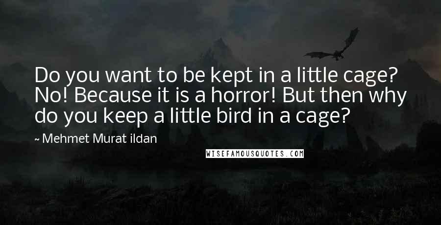 Mehmet Murat Ildan Quotes: Do you want to be kept in a little cage? No! Because it is a horror! But then why do you keep a little bird in a cage?