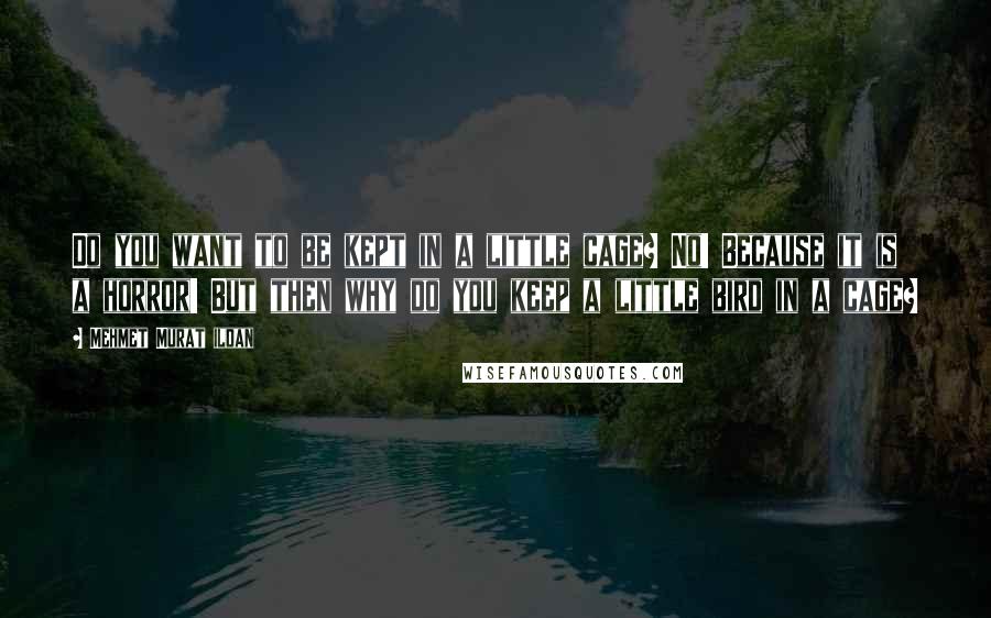 Mehmet Murat Ildan Quotes: Do you want to be kept in a little cage? No! Because it is a horror! But then why do you keep a little bird in a cage?