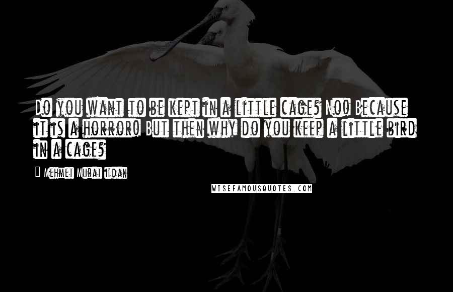 Mehmet Murat Ildan Quotes: Do you want to be kept in a little cage? No! Because it is a horror! But then why do you keep a little bird in a cage?