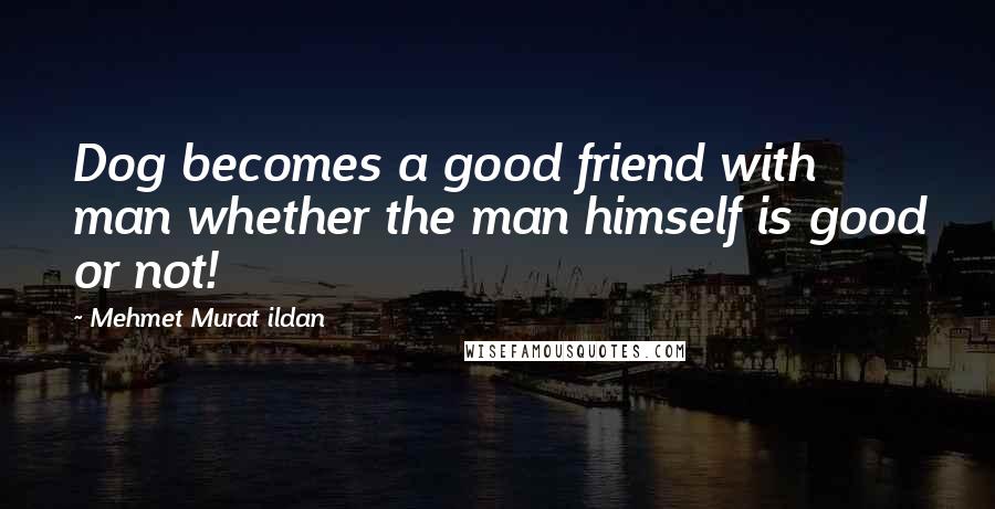 Mehmet Murat Ildan Quotes: Dog becomes a good friend with man whether the man himself is good or not!