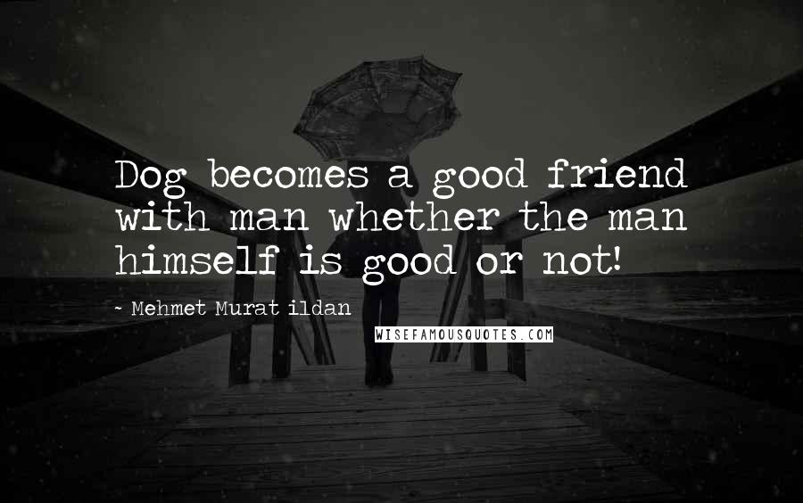 Mehmet Murat Ildan Quotes: Dog becomes a good friend with man whether the man himself is good or not!