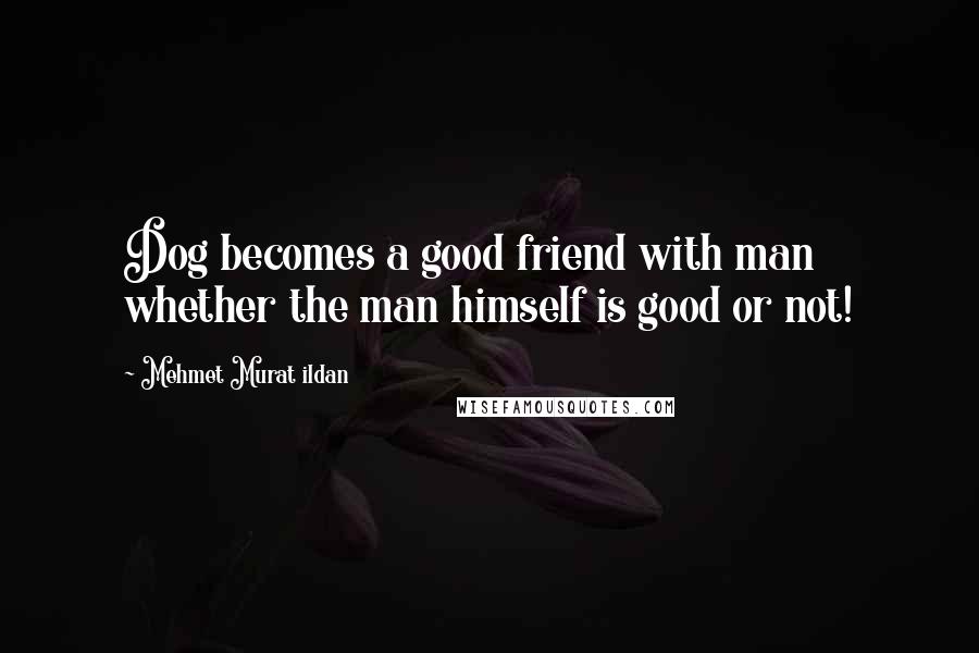 Mehmet Murat Ildan Quotes: Dog becomes a good friend with man whether the man himself is good or not!
